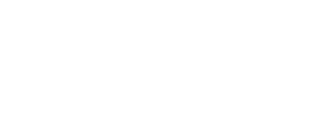 Bitcoin Frontier Fund logo