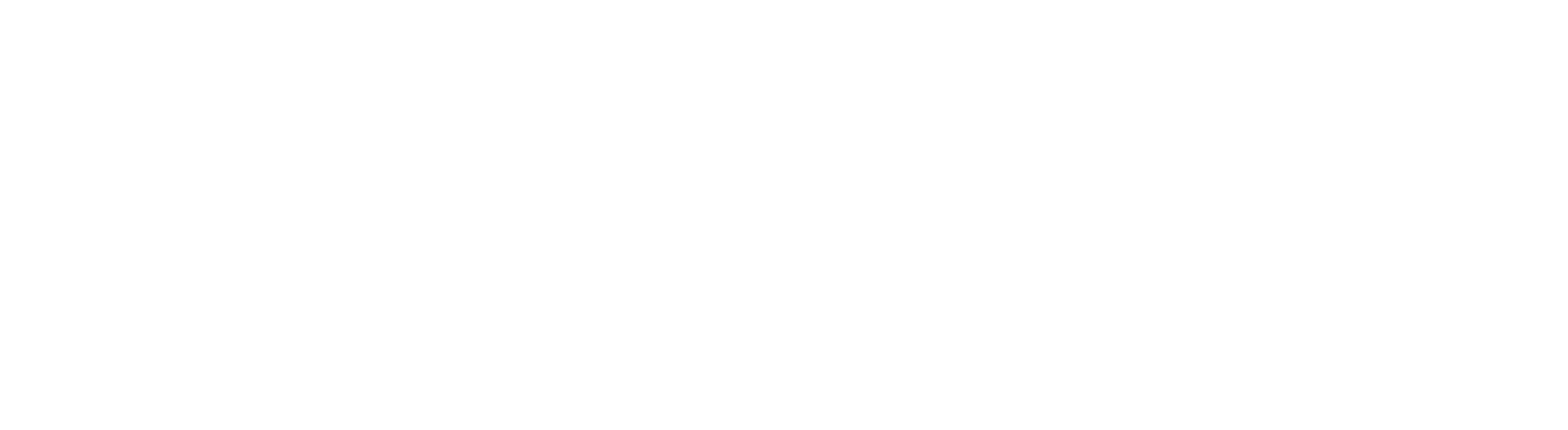 Newman Capital logo